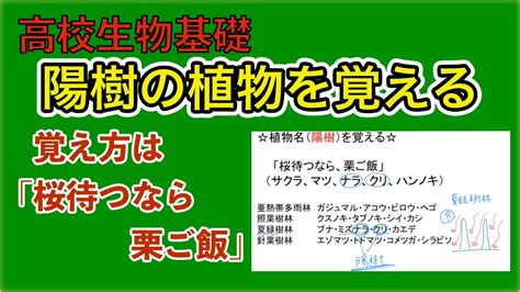 陽樹 陰樹 一覧 生物基礎|簡単でわかりやすい！陽生植物と陰生植物の違いとは？具体例も。